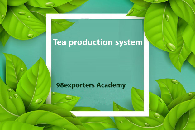 tea production system